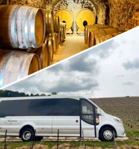 sprinter champagne tds